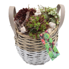 Arrangement rieten mand white wash